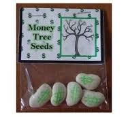 money tree seeds