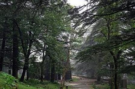 St Jon Church, Dharamsala