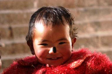 Himalayan Baby 2010