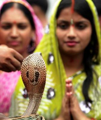 Snake India Worship