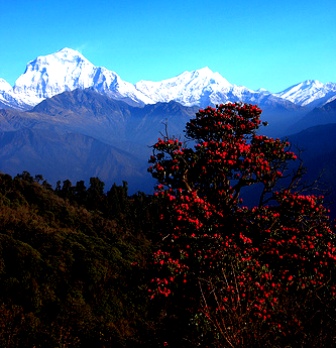 India Himalayas