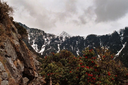 Dharamsala Snow