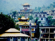 Tipa School, Dharamsala