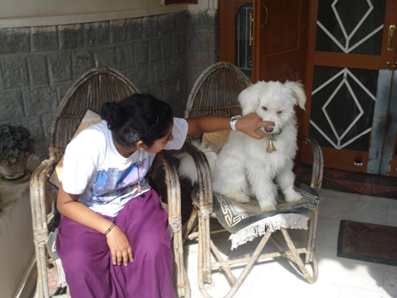 Animal Care, Vidya Niwas India Animal Care, Vidya Niwas India