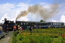 India Heritage Toy Train