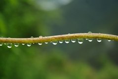 Dance India Dance India