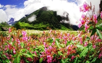 Yumthang Valley, Sikkim