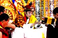 Young Dragon King Young Dragon King