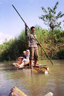 manas sanctuary assam