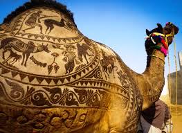 Camel India