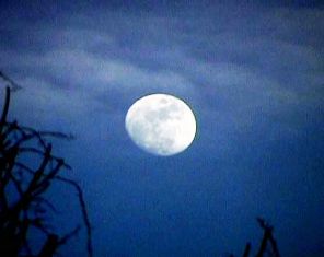 Full Moon Dharamsala India Full Moon Dharamsala India