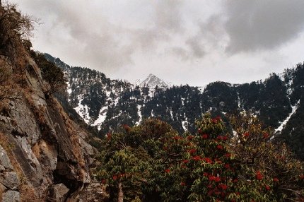 Dharamsala Snow Dharamsala Snow